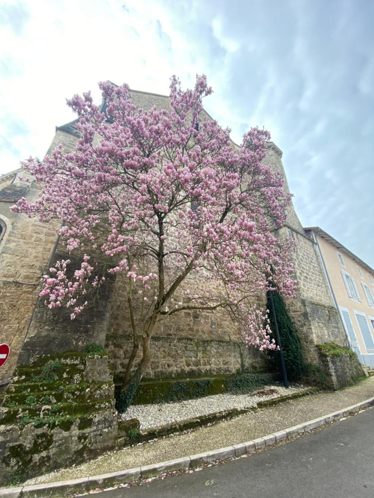 Logis Hôtel Le Saint Georges Vivonne Exterior foto